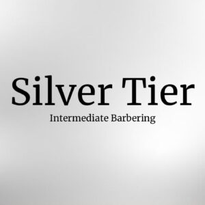 Silver Plan