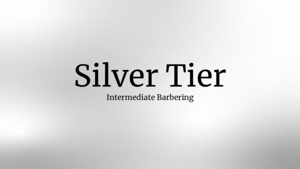Silver Plan